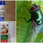 Produtos Raptor from flies