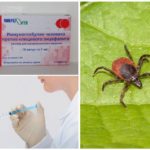 Imunoglobulina contra encefalite transmitida por carrapato