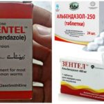 Benzimidazóis contra Giardia