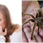 Medo de aranhas