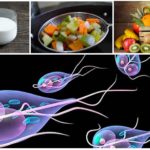 Dieta no tratamento de Giardia