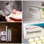 Tratamento de Ascaridíase em Gatos