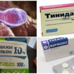 Tratamento de Giardia em Cães