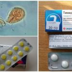 Preparativos para o tratamento de Giardia
