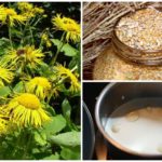 Receitas populares para toxocarosis